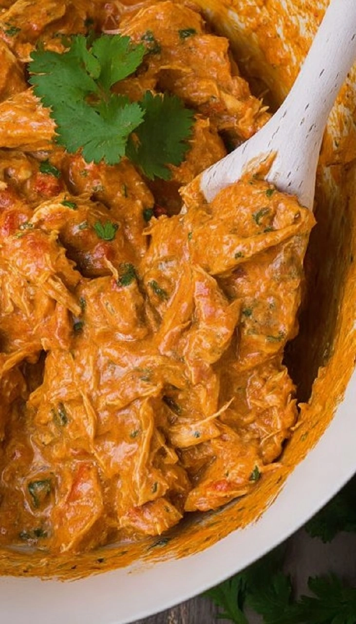 Creamy Salsa Chicken